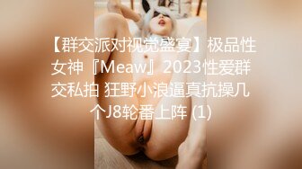 【群交派对视觉盛宴】极品性女神『Meaw』2023性爱群交私拍 狂野小浪逼真抗操几个J8轮番上阵 (1)