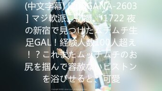 (中文字幕) [200GANA-2603] マジ軟派、初撮。 1722 夜の新宿で見つけたムチムチ生足GAL！経験人数100人超え！？これまたムッチムチのお尻を掴んで容赦ないピストンを浴びせると、可愛