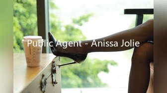 Public Agent - Anissa Jolie