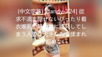 (中文字幕) [dandy-724] 欲求不満を隠せないぴったり着衣爆乳で無自覚に挑発してしまう人妻は大きな胸を揉まれても拒めない